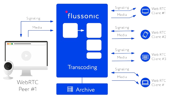 Flussonic Nulled | Flussonic Media Server Cracked | Flussonic Offline License